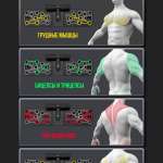 Платформа для отжиманий с фиксатором PS-834